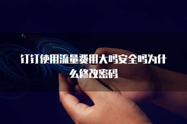 钉钉使用流量费用大吗安全吗为什么修改密码