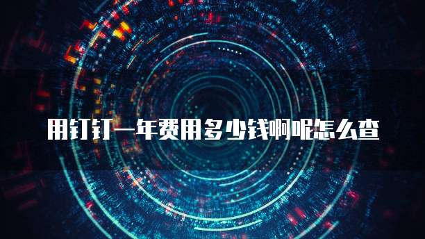 用钉钉一年费用多少钱啊呢怎么查