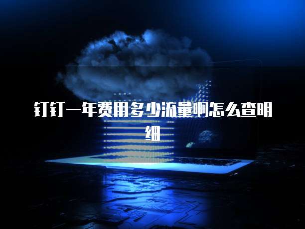钉钉一年费用多少流量啊怎么查明细