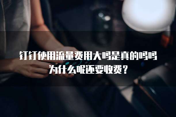 钉钉使用流量费用大吗是真的吗吗为什么呢还要收费?