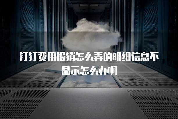 钉钉费用报销怎么弄的明细信息不显示怎么办啊