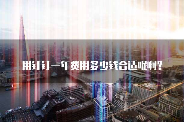 用钉钉一年费用多少钱合适呢啊?