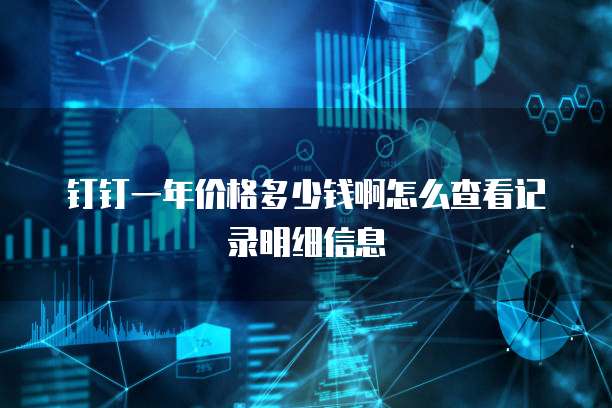 钉钉一年价格多少钱啊怎么查看记录明细信息