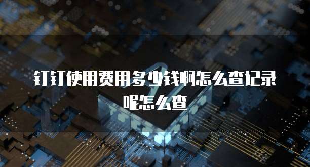钉钉使用费用多少钱啊怎么查记录呢怎么查