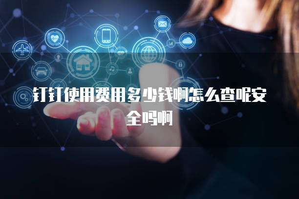 钉钉使用费用多少钱啊怎么查呢安全吗啊