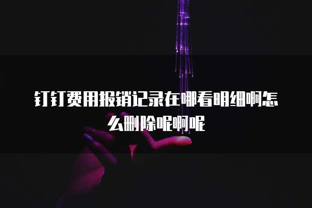 钉钉费用报销记录在哪看明细啊怎么删除呢啊呢