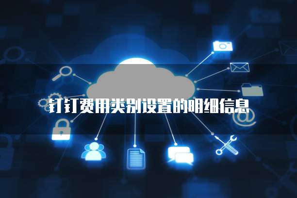 钉钉费用类别设置的明细信息