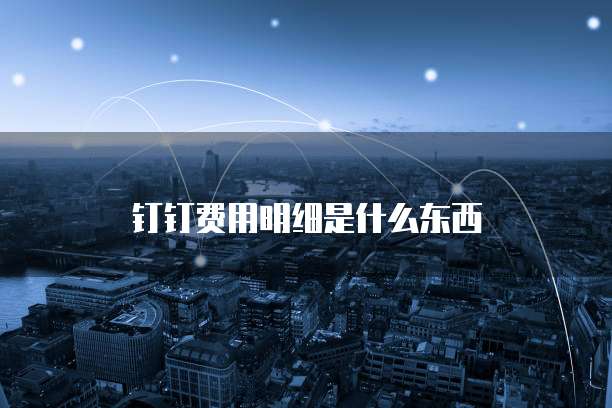 钉钉费用明细是什么东西