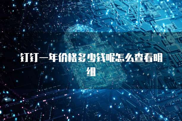 钉钉一年价格多少钱呢怎么查看明细