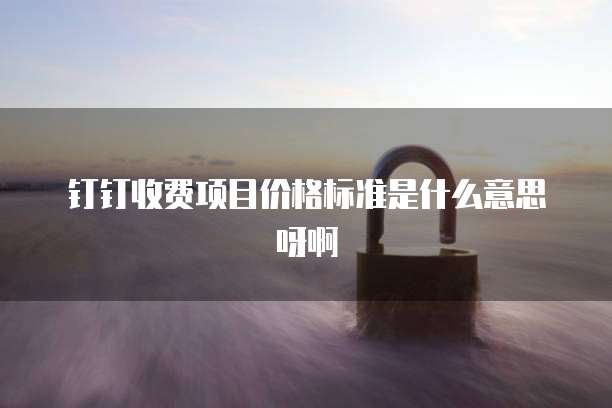 钉钉收费项目价格标准是什么意思呀啊