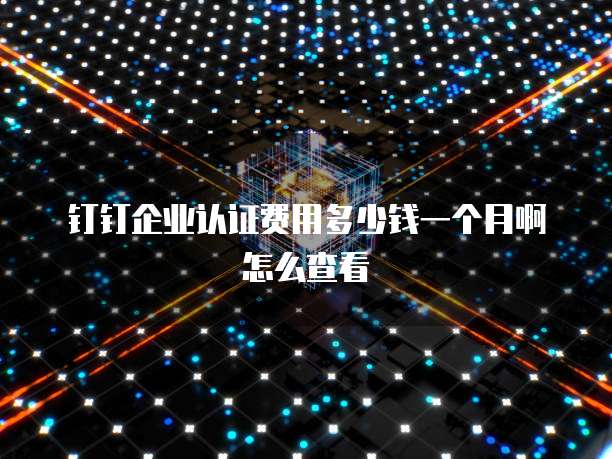 钉钉企业认证费用多少钱一个月啊怎么查看