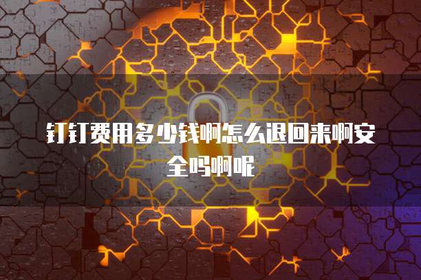 钉钉费用多少钱啊怎么退回来啊安全吗啊呢