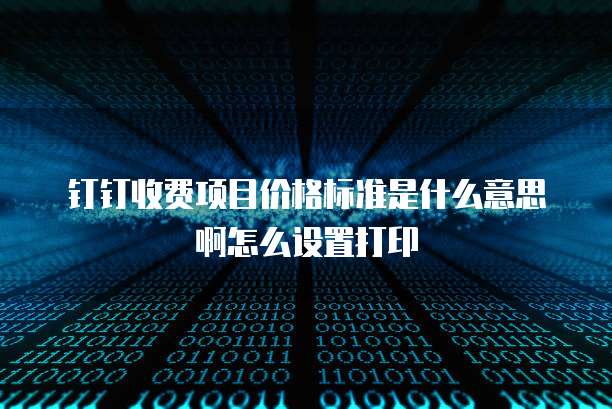 钉钉收费项目价格标准是什么意思啊怎么设置打印