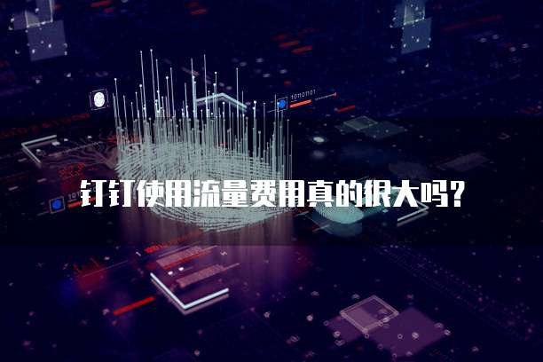 钉钉使用流量费用真的很大吗?