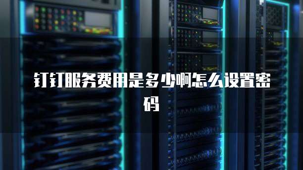 钉钉服务费用是多少啊怎么设置密码