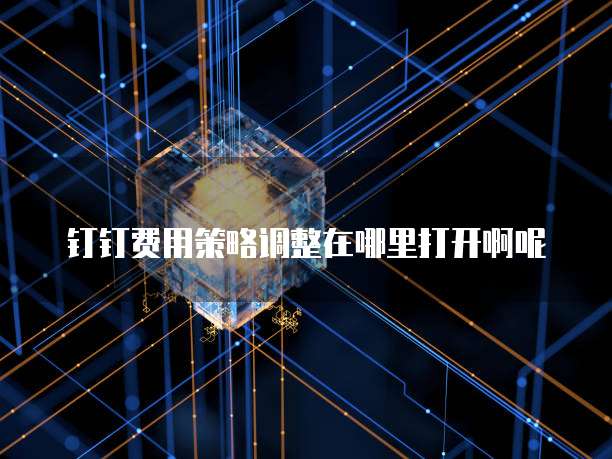 钉钉费用策略调整在哪里打开啊呢