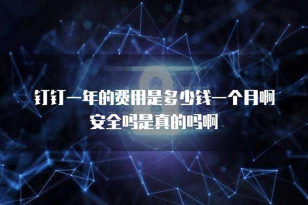 钉钉一年的费用是多少钱一个月啊安全吗是真的吗啊