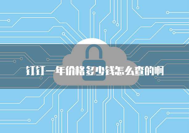 钉钉一年价格多少钱怎么查的啊
