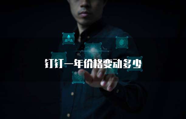 钉钉一年价格变动多少