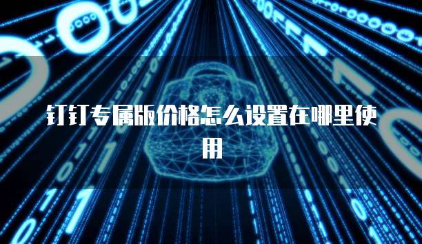 钉钉专属版价格怎么设置在哪里使用