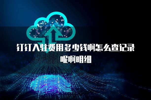 钉钉入驻费用多少钱啊怎么查记录呢啊明细