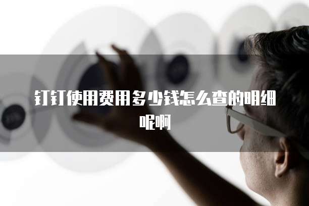 钉钉使用费用多少钱怎么查的明细呢啊