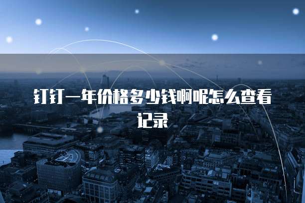 钉钉一年价格多少钱啊呢怎么查看记录