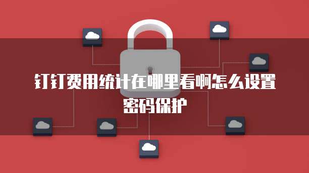 钉钉费用统计在哪里看啊怎么设置密码保护
