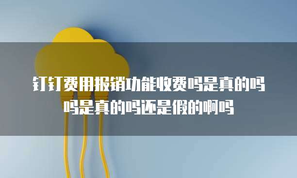 钉钉费用报销功能收费吗是真的吗吗是真的吗还是假的啊吗