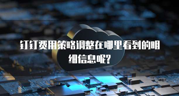 钉钉费用策略调整在哪里看到的明细信息呢?