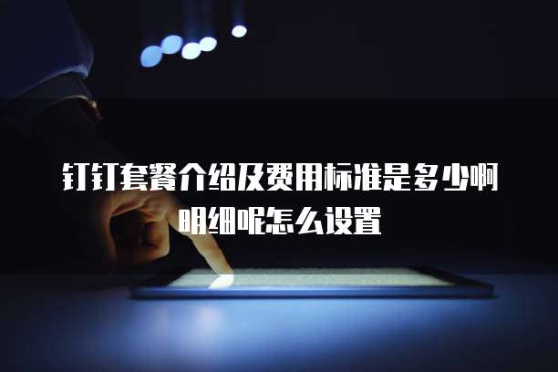 钉钉套餐介绍及费用标准是多少啊明细呢怎么设置