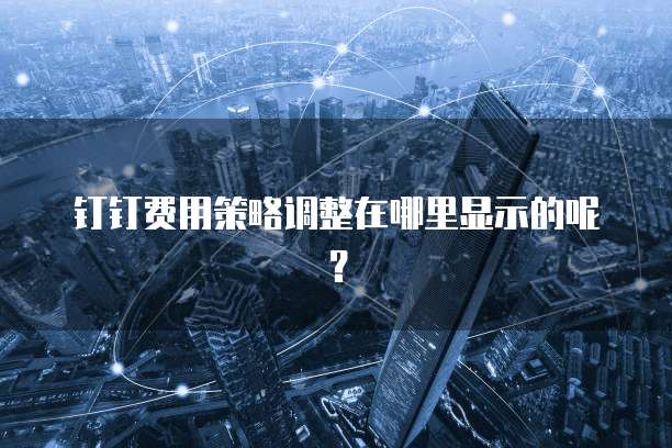 钉钉费用策略调整在哪里显示的呢?