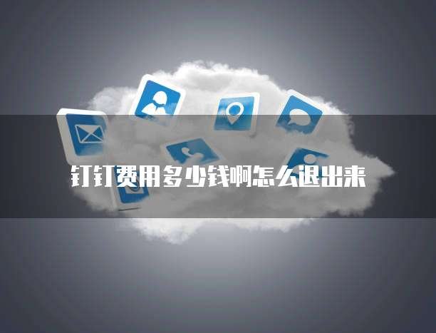 钉钉费用多少钱啊怎么退出来