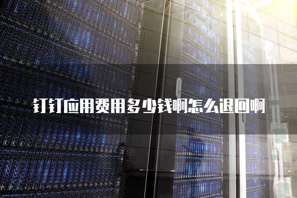 钉钉应用费用多少钱啊怎么退回啊