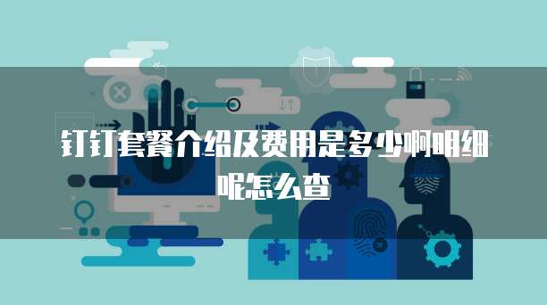 钉钉套餐介绍及费用是多少啊明细呢怎么查