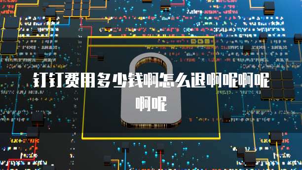 钉钉费用多少钱啊怎么退啊呢啊呢啊呢