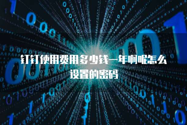 钉钉使用费用多少钱一年啊呢怎么设置的密码