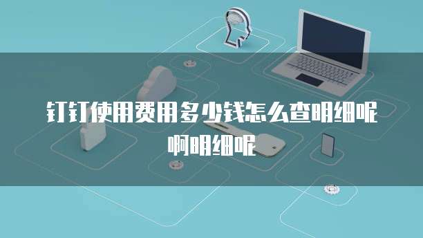 钉钉使用费用多少钱怎么查明细呢啊明细呢