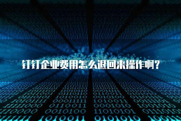 钉钉企业费用怎么退回来操作啊?