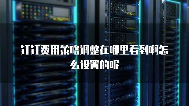 钉钉费用策略调整在哪里看到啊怎么设置的呢