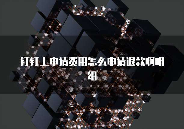 钉钉上申请费用怎么申请退款啊明细