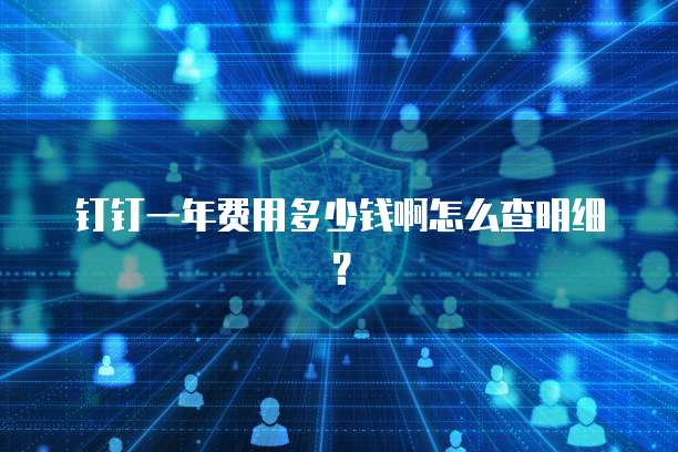 钉钉一年费用多少钱啊怎么查明细?