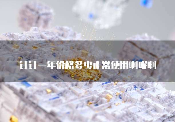 钉钉一年价格多少正常使用啊呢啊