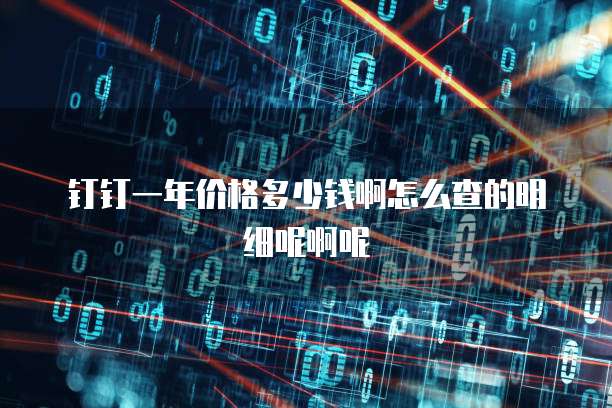 钉钉一年价格多少钱啊怎么查的明细呢啊呢