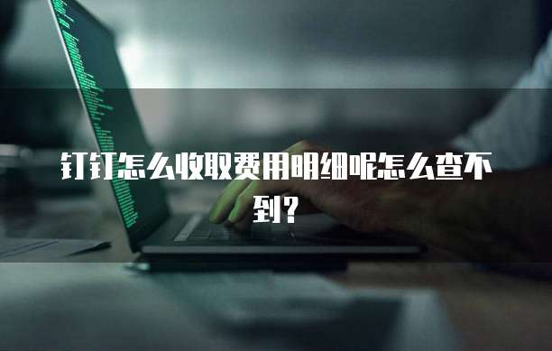 钉钉怎么收取费用明细呢怎么查不到?