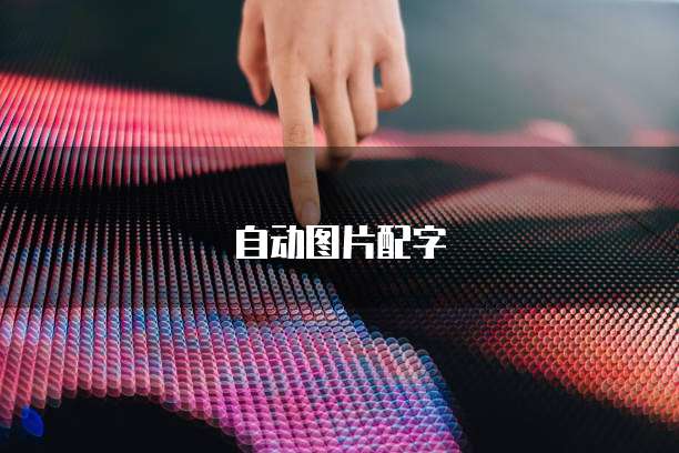 钉钉企业名片如何设置显示名字