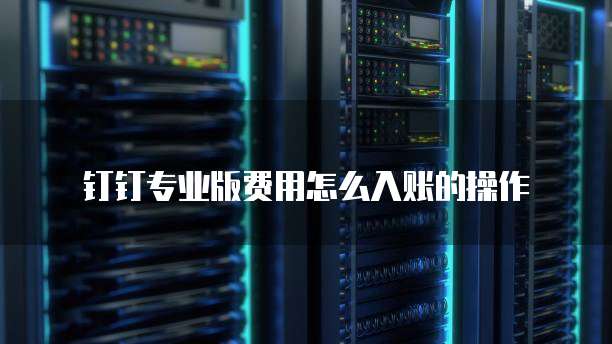 钉钉专业版费用怎么入账的操作