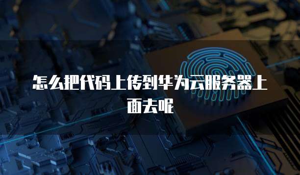 钉钉专业版登陆问题
