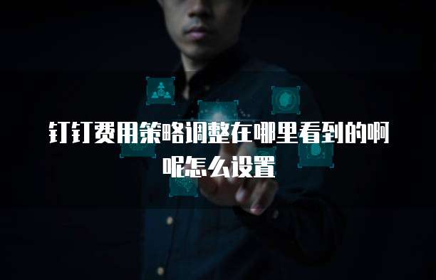 钉钉费用策略调整在哪里看到的啊呢怎么设置