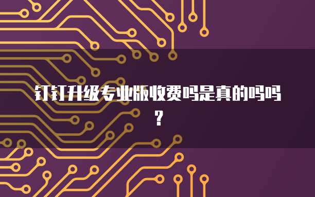 钉钉升级专业版收费吗是真的吗吗?